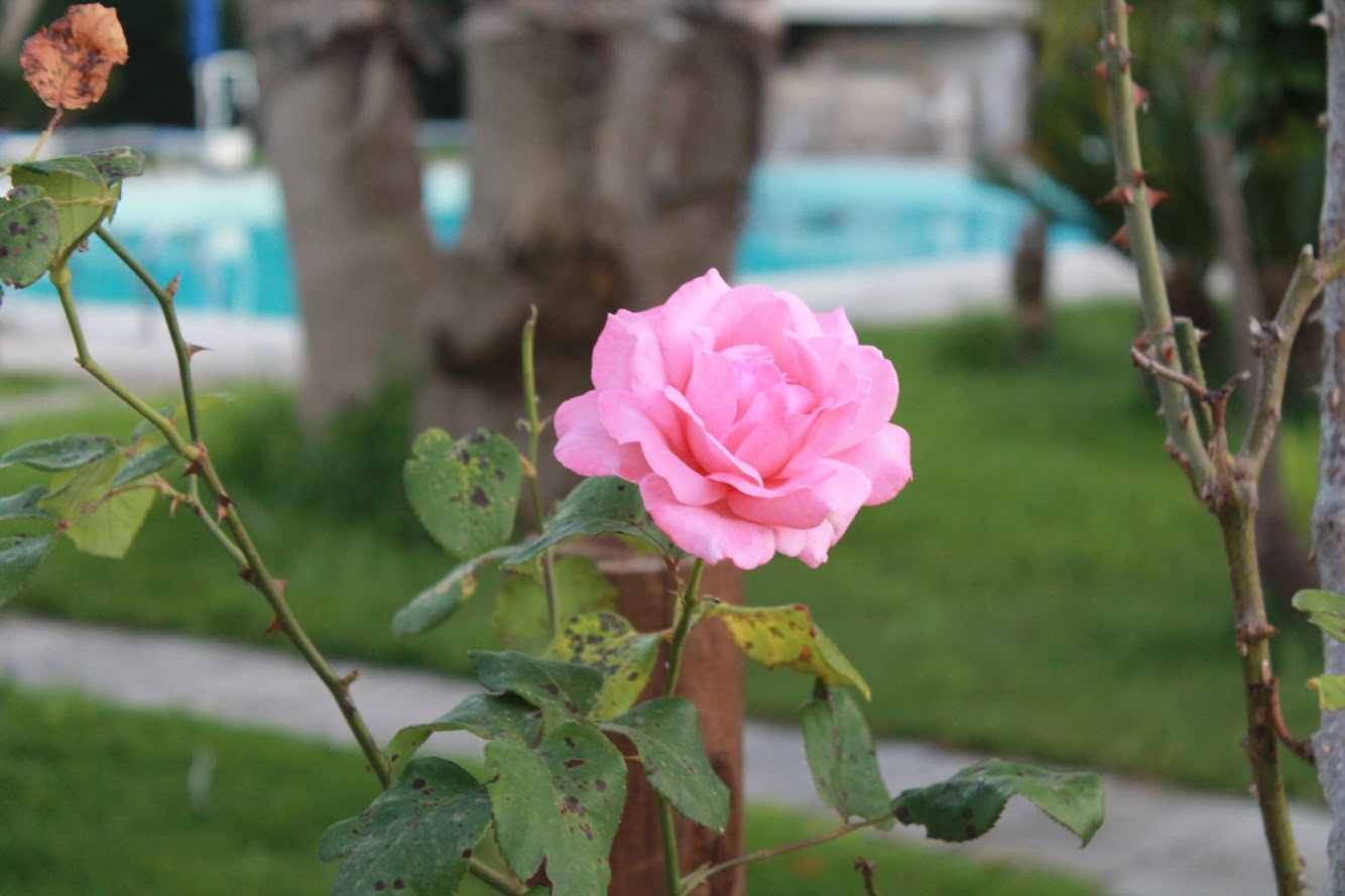 Dal Natale alla luce di aprile: il Salento si prepara all’estate